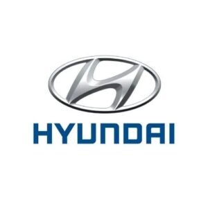 Hyundai Mileage Blockers