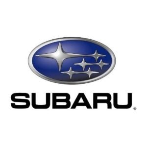 Subaru Mileage Blocker