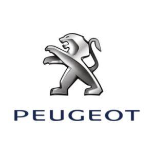 Peugeot Mileage Blocker