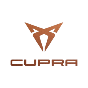 Cupra Mileage Blocker