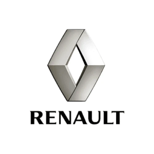 Renault Mileage Blocker
